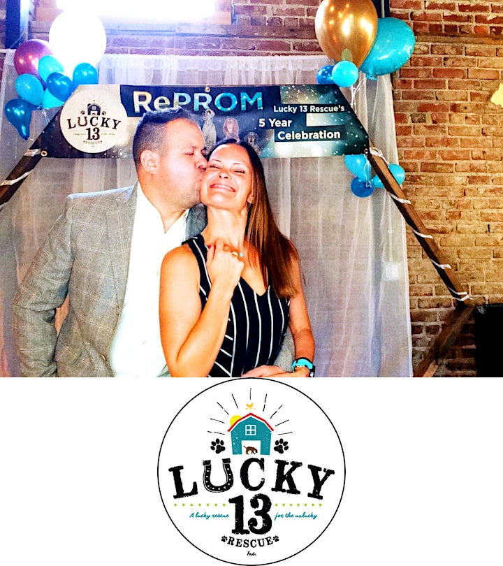 Lights, Camera, Auction! Lucky 13 Rescue Turns 6! image