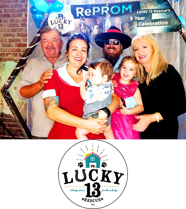 Lights, Camera, Auction! Lucky 13 Rescue Turns 6! image