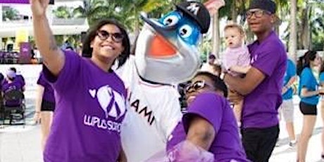 2017 Walk to End Lupus Now Presented by Bacardi & Wellness Way Miami primary image