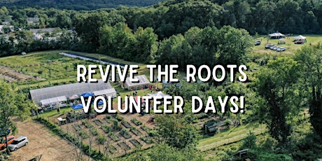 Revive The Roots Volunteer Days