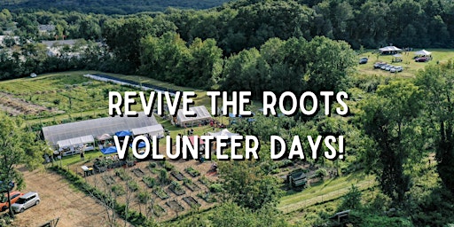 Revive The Roots Volunteer Days primary image
