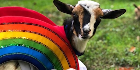 Goat Yoga at Faith Lutheran Church Celebrating PRIDE tickets