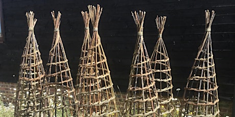 Willow Weaving at Water Lane - Creating a Garden Support Structure primary image