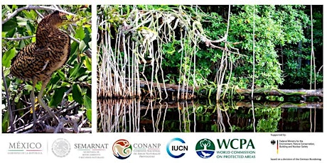 IUCN Green List - A Mexican Experience and Global Presentation primary image