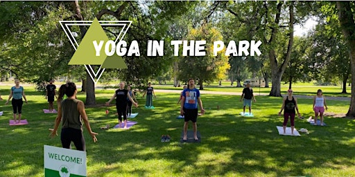 Yoga in the Park!