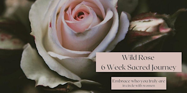 Women's Circle - 6 Week Sacred Journey
