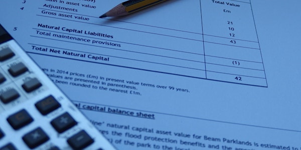 Natural capital accounting at the local & landscape scale: an introduction