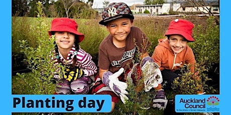 Mutukaroa / Hamlins Hill Regional Park - Planting Day (Layout Days)