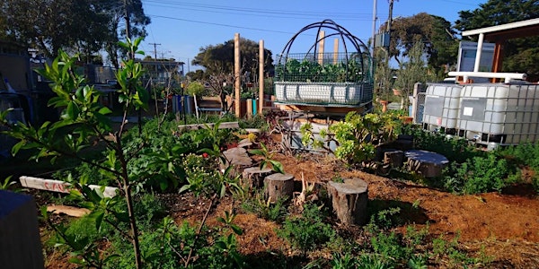 Altona Community Garden Open Day with Seed and Plant Swap