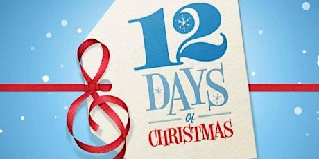 THE 12 DAYS OF CHRISTMAS GIVEAWAY  primary image