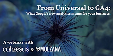 From Universal to GA4: What Google's new analytics means for your business primary image