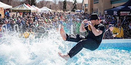 2017 Denver Polar Plunge and 5k presented by Westerra Credit Union primary image