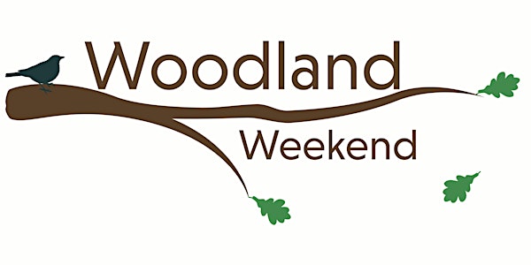 Woodland Weekend: Field Day at Working Woods