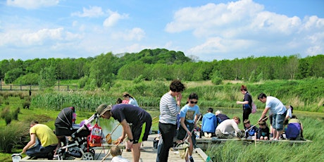 Pond Dipping - 28 May 2022 tickets