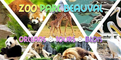 Week-end Zoo de Beauval, Orléans, Tours & Blois -