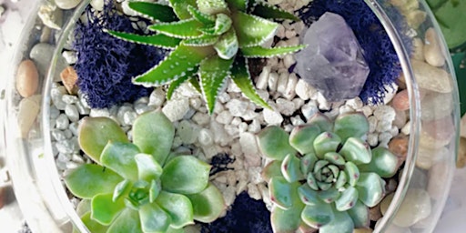 Primaire afbeelding van Succulent Terrarium for Mother's Day - Virtual Flower Arranging Class by Classpop!™