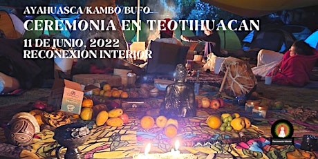 Ceremonia en Teotihuacan con Ayahuasca/Kambó/Bufo boletos
