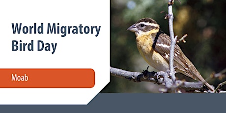 Migratory Bird Day 2022 — Moab