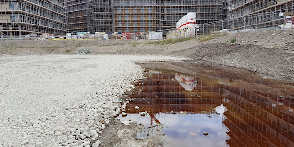 Local Authority Requirements for the Verification of Contaminated Land