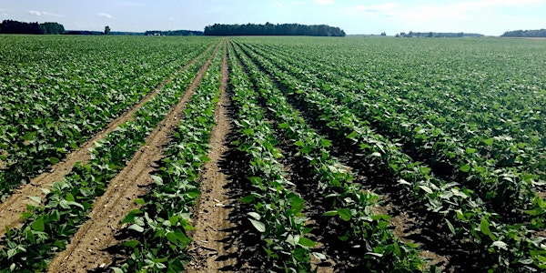 Ontario Bean Growers Annual General Meeting