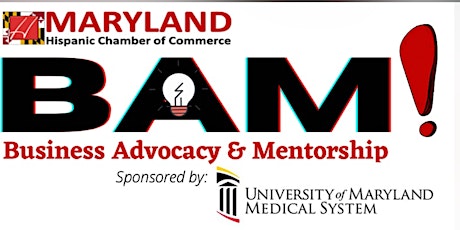 BAM! on Zoom at Noon - Business Advocacy and Mentorship