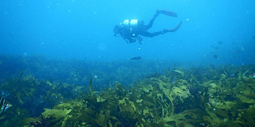 Restoring Kelp Forests