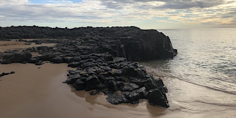 Lava flow in the age of Dinosaurs primary image