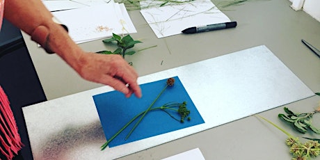Make Your Own Plant Sunprints primary image