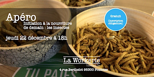 Dégustation d'insectes comestibles
