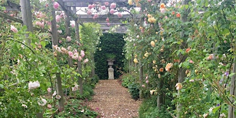 A plantswoman’s passion and exquisite design in South Oxfordshire- fully booked primary image