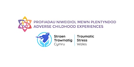 Trauma Practice Framework Consultation Event - Newport - 19th May 2022 tickets