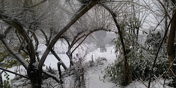 Willow Arch Work Party!