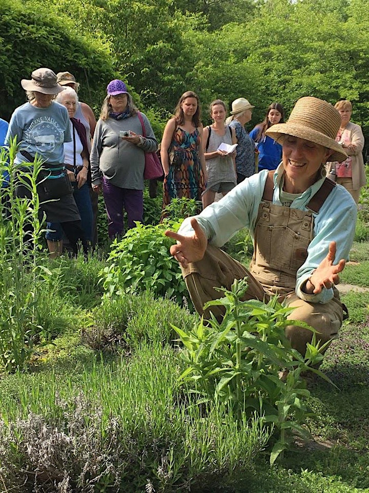 Avena Botanicals Garden Herb Walk (Guided Tour) image