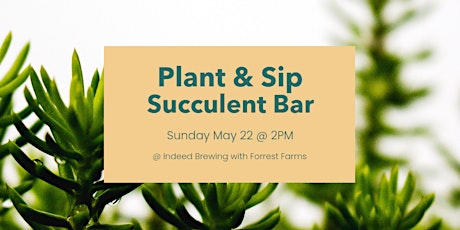 Plant & Sip | Succulent Bar tickets