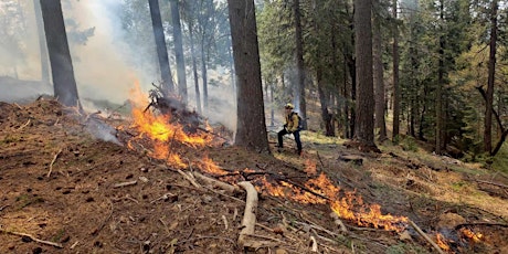 Wildland Fire Successes and Challenges in the Central Sierras tickets