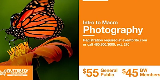 May 22 Intro to Macro Photography @ Butterfly Wonderland