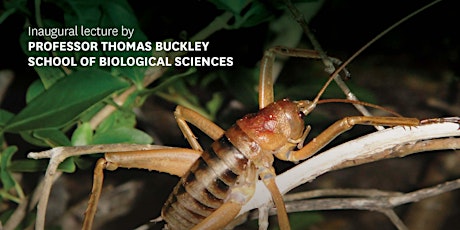 *Postponed* Thomas Buckley's Inaugural Lecture tickets