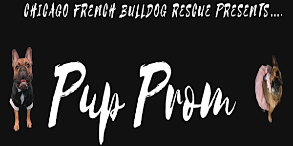 PUP PROM presented by Chicago French Bulldog Rescue