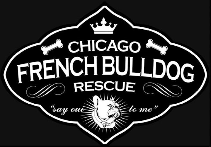 PUP PROM presented by Chicago French Bulldog Rescue image