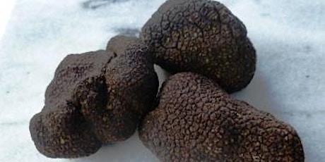 Introduction to Truffle and Hazelnut Growing - Gembrook VIC tickets