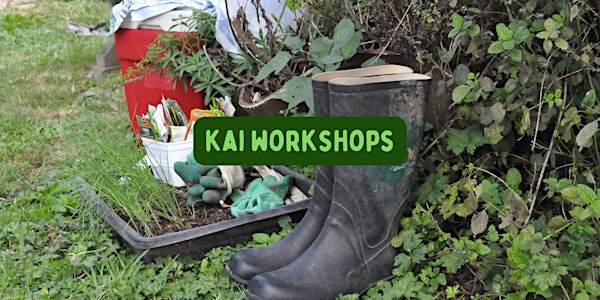 Kai workshops: Raising plants from Seed