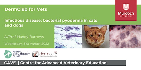 DermClub for Vets - Infectious disease: bacterial pyoderma in dogs and cats