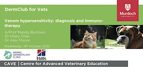 DermClub for Vets - Venom hypersensitivity: diagnosis and immunotherapy