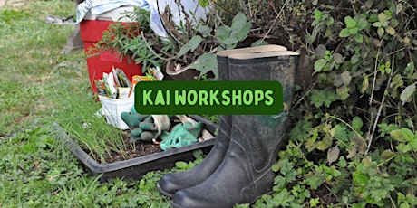 Kai workshops: Tree Pruning tickets