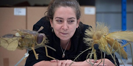 The Fabulous Flies - A talk by Dr Erica McAlister tickets