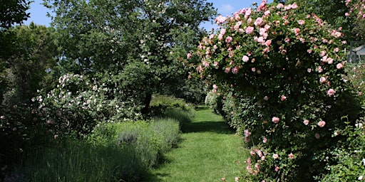 Navetta Giardino di Rose del Podere Le Vigne - Diverdeinverde 21.05.2022