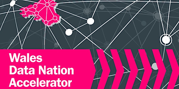 Digital transformation: Wales Data Nation Accelerator (WDNA)