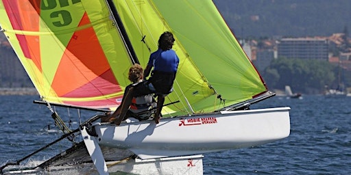 Primaire afbeelding van Hobie Dragoon Course Summer 2024 Week 2