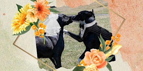 You're invited to the wedding of Oreo and Gage tickets