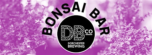 Collection image for Bonsai Bar @ Dorchester Brewing Co.